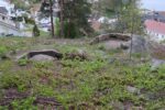 mkb_1-501_droebak_2023_022