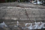 mkb_1-501_droebak_2023_054