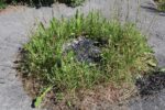 mkb_1-505_jul_2023_019