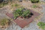 mkb_1-505_jul_2023_047