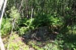 mkb_1-505_jul_2023_088