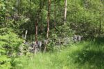 mkb_1-505_jul_2023_090