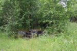 mkb_1-506_brettingen_2023_044