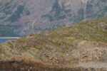 mkb_1-513_tana_2023_043
