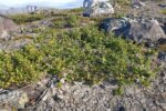 mkb_1-513_tana_2023_180
