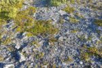 mkb_1-513_tana_2023_185
