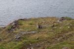 mkb_1-514_hammerfest_2023_057