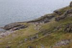 mkb_1-514_hammerfest_2023_062