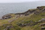 mkb_1-514_hammerfest_2023_064