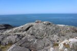mkb_10-504_haugesund_2023_001