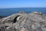 mkb_10-504_haugesund_2023_002