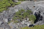 mkb_10-504_haugesund_2023_090