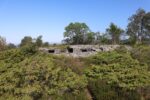 mkb_11-504_fjell_2023_024