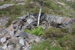mkb_11-504_fjell_2023_050