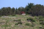 mkb_11-504_fjell_2023_119