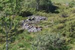 mkb_11-504_fjell_2023_168