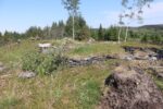mkb_11-504_fjell_2023_202