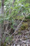mkb_2-506_hysnes_2023_023