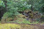 mkb_2-506_hysnes_2023_036