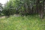 mkb_2-510_mosjoen_2023_053