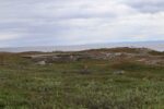 mkb_2-513_vadsoe-kiby_2025_001