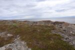 mkb_2-513_vadsoe-kiby_2025_003