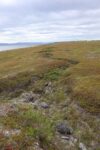 mkb_2-513_vadsoe-kiby_2025_017
