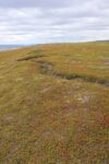 mkb_2-513_vadsoe-kiby_2025_021