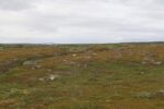 mkb_2-513_vadsoe-kiby_2025_042