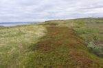 mkb_2-513_vadsoe-kiby_2025_060