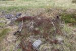 mkb_2-513_vadsoe-kiby_2025_064