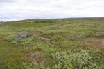 mkb_2-513_vadsoe-kiby_2025_071
