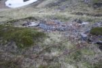mkb_2-514_nordkapp_2019_005