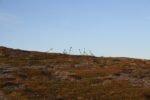 mkb_2-514_nordkapp_2019_011