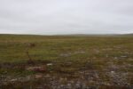mkb_2-514_nordkapp_2023_010