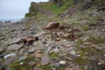 mkb_2-514_nordkapp_2023_025