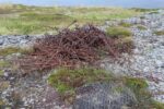 mkb_2-514_nordkapp_2023_092
