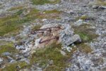 mkb_2-514_nordkapp_2023_099