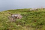 mkb_2-514_nordkapp_2023_212