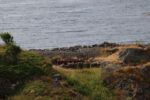 mkb_2-514_onilsoen_2023_008