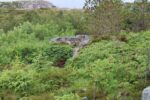 mkb_3-505_kristiansund-nord_2023_042