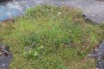 mkb_3-505_kristiansund-nord_2023_069