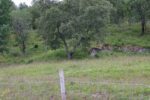 mkb_3-510_mo_2023_001