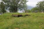 mkb_3-510_mo_2023_038