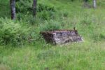 mkb_3-510_mo_2023_049
