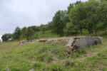 mkb_3-510_mo_2023_054