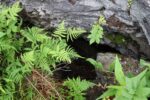mkb_3-510_mo_2023_057