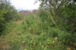mkb_3-511_bjarkoey_2023_004