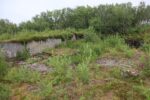mkb_3-511_bjarkoey_2023_018