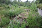 mkb_3-511_bjarkoey_2023_022